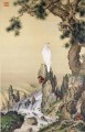 Lang shining white bird near waterfall traditional China